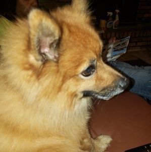 Meet your Posher, Jay